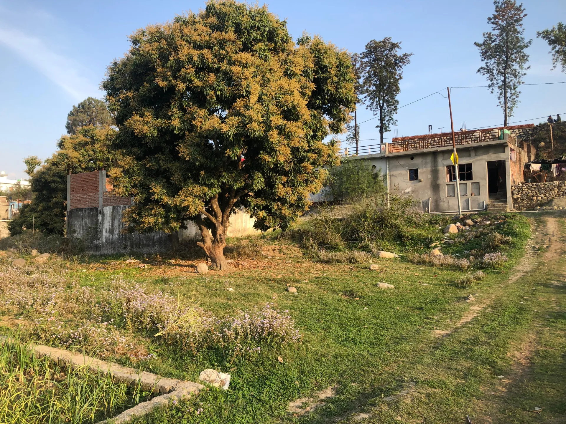 Green view plot – Property Image