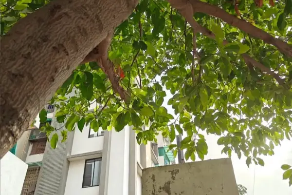 2 BHK Flat in Nava Naroda, Ahmedabad – Property Image