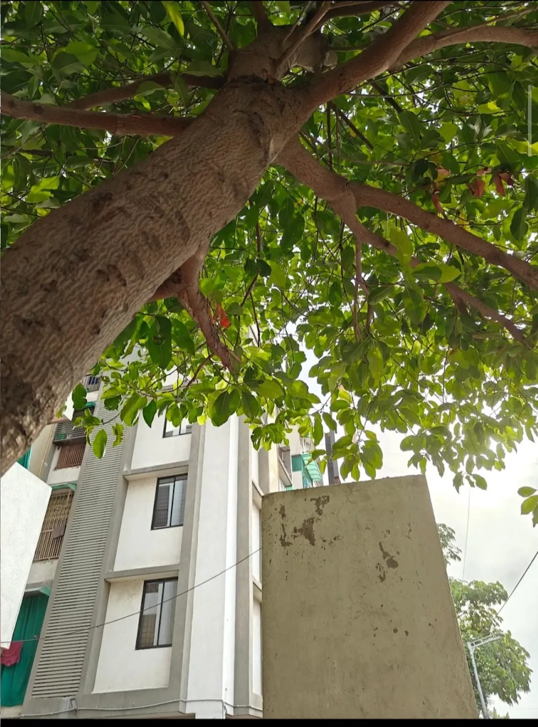 2bhk flat – Property Image