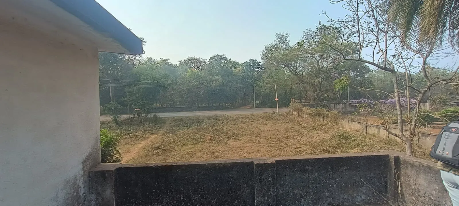 Faller Bagan (Farmhouse) – Property Image