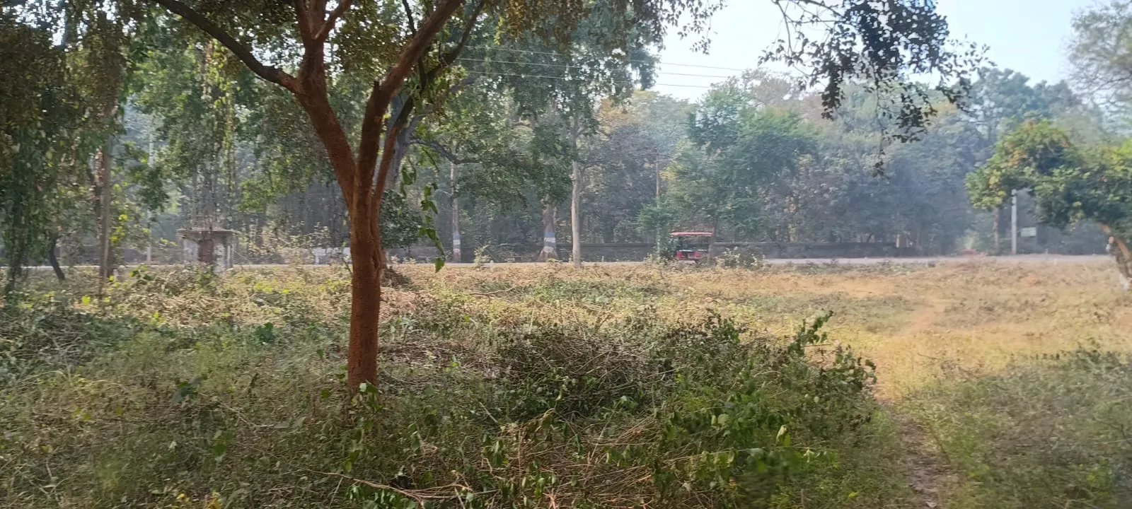 Faller Bagan (Farmhouse) – Property Image