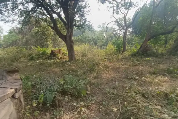 Farmhouse for Sale in Jhargram – Property Image