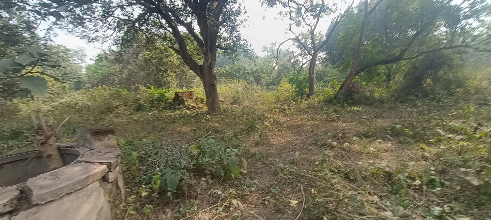 Faller Bagan (Farmhouse) – Property Image