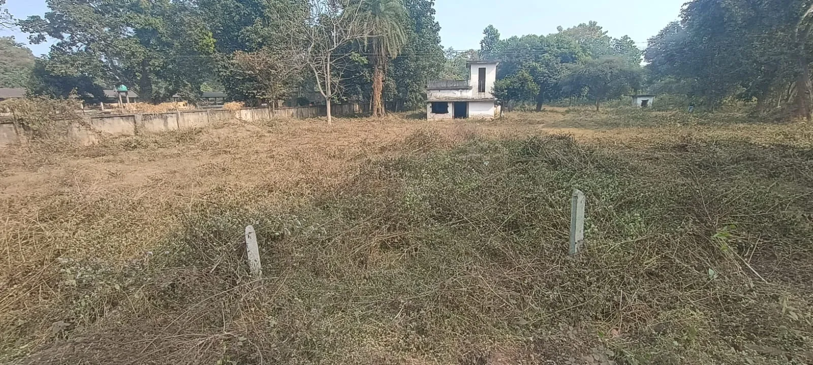 Faller Bagan (Farmhouse) – Property Image