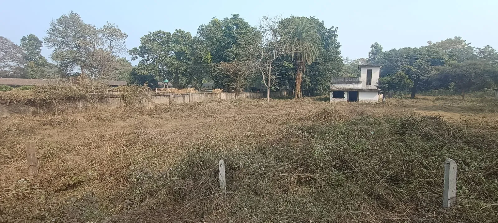 Faller Bagan (Farmhouse) – Property Image