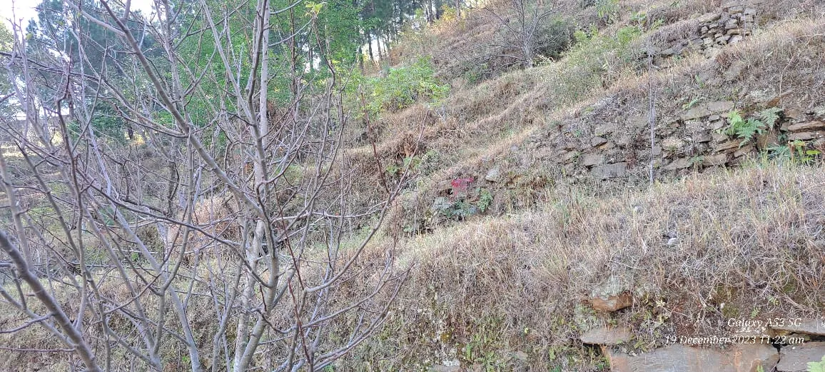 Plot for sale – Property Image