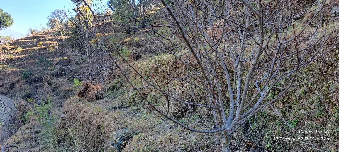 Plot for sale – Property Image