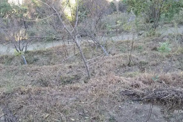 Plot for sale – Property Image