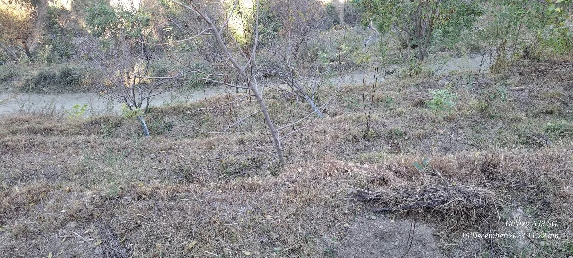 Plot for sale – Property Image