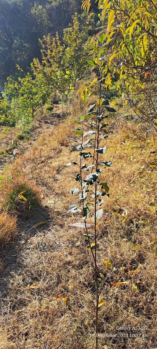 Plot for sale – Property Image