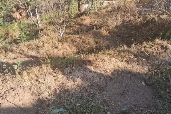 Plot for sale – Property Image