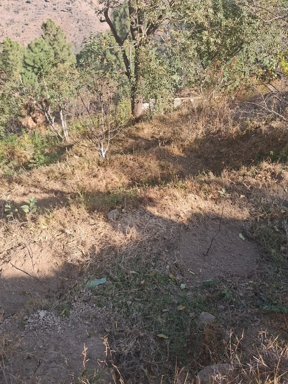 Plot for sale – Property Image