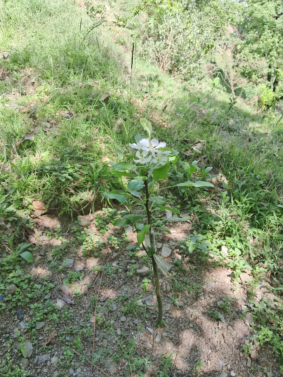 Plot for sale – Property Image