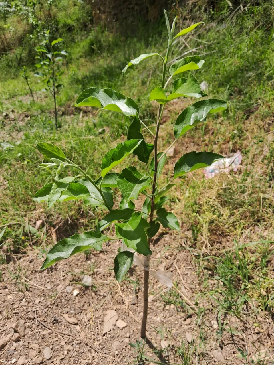 Plot for sale – Property Image