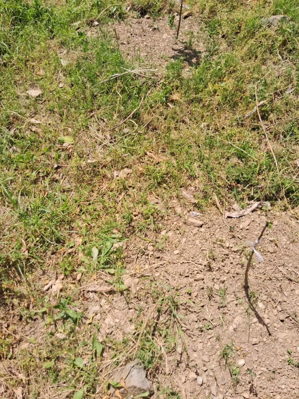 Plot for sale – Property Image