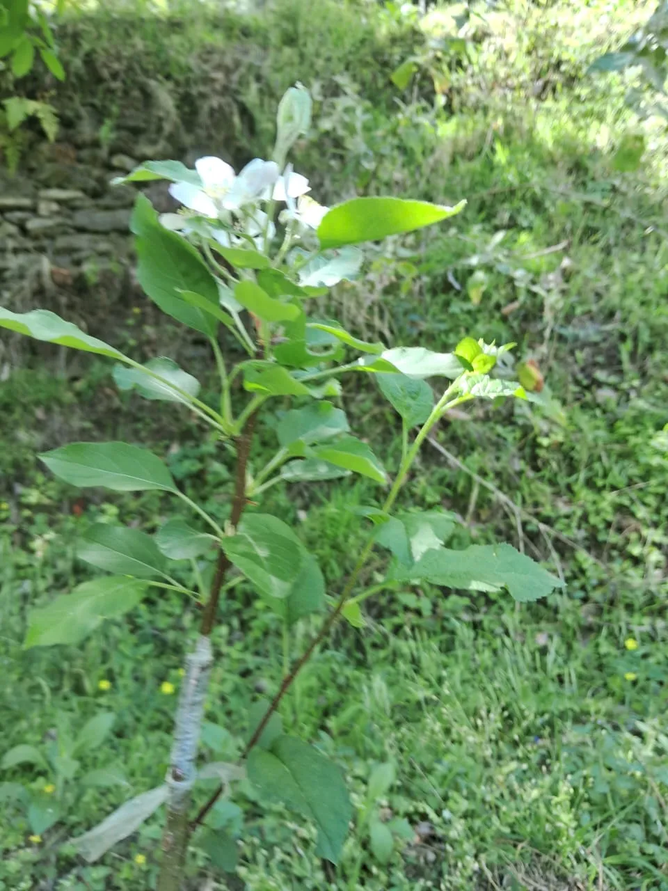 Plot for sale – Property Image