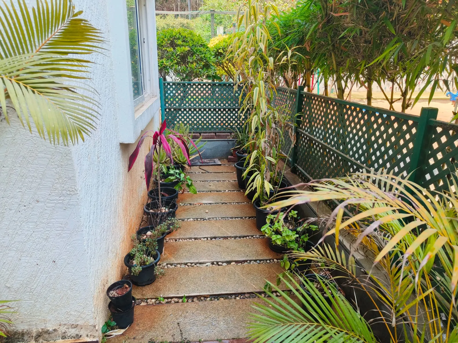 Mana Tropicale – Property Image