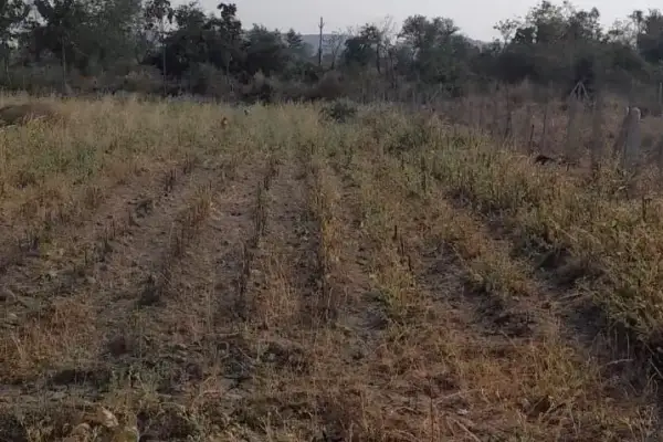 Plot for sale – Property Image