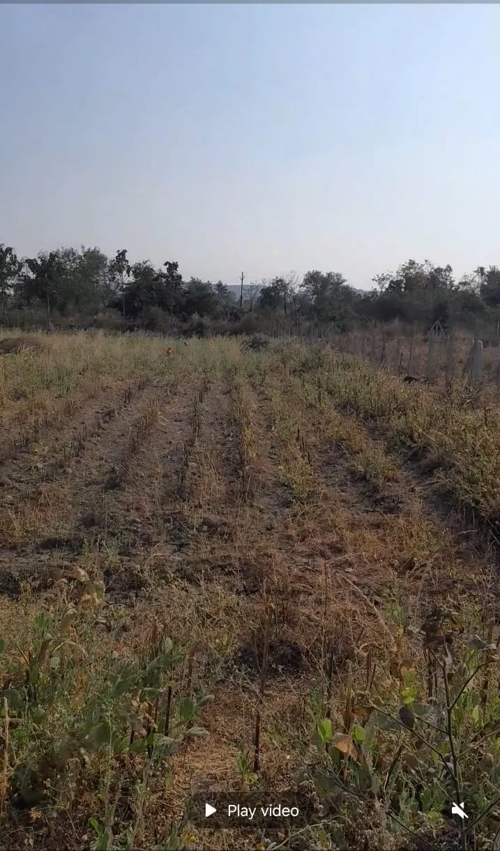 Plot for sale – Property Image