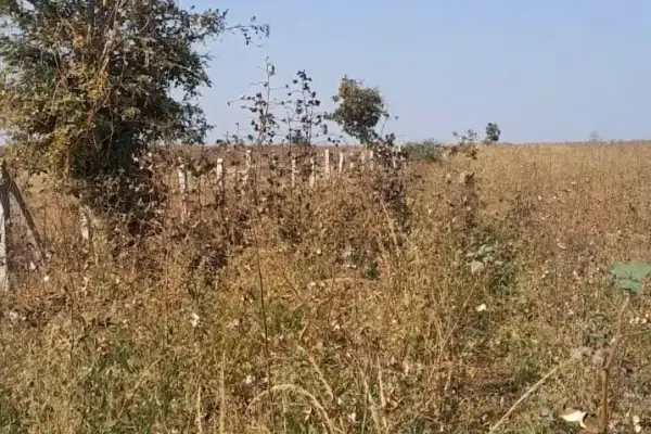 Plot for sale – Property Image