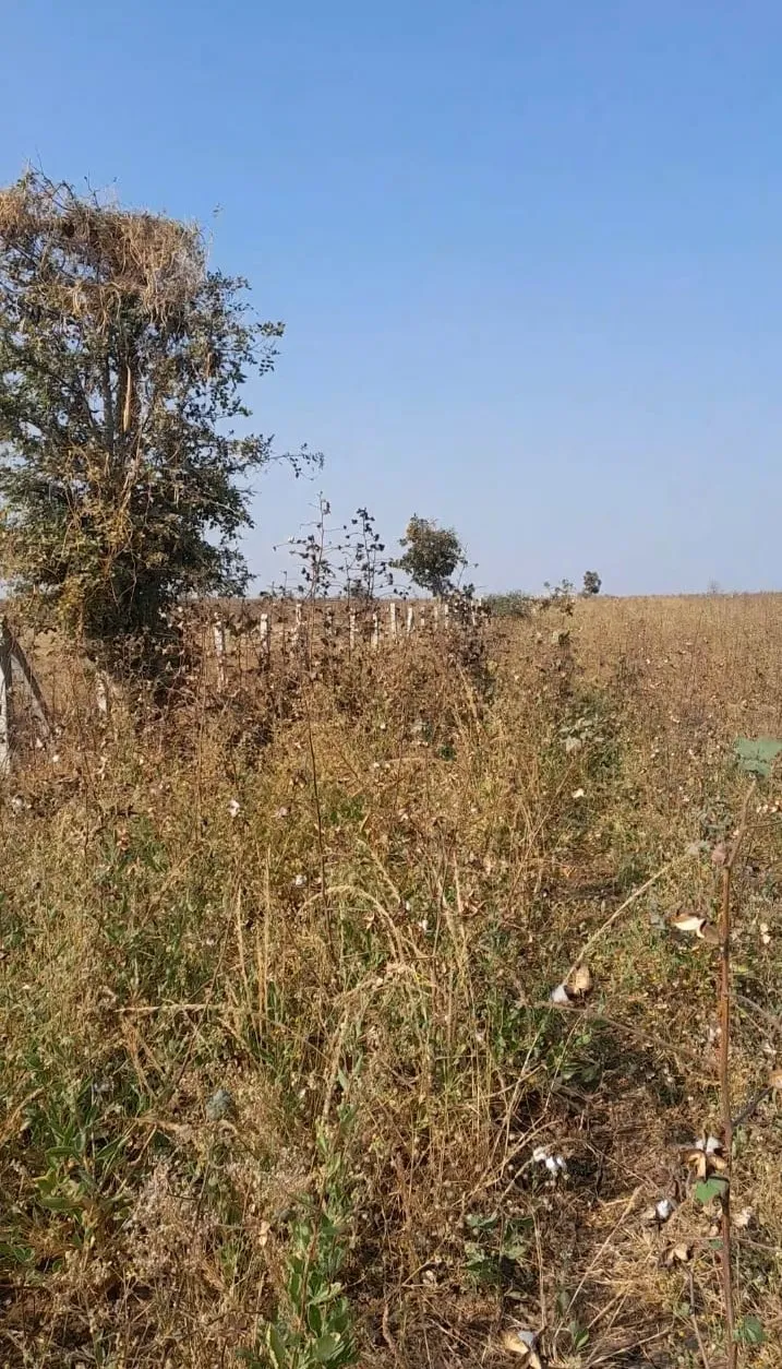 Plot for sale – Property Image