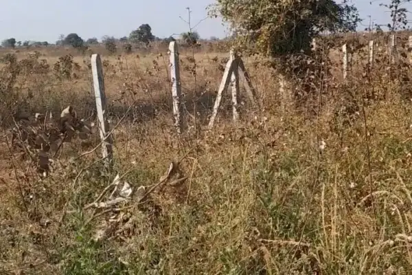 Plot for sale – Property Image