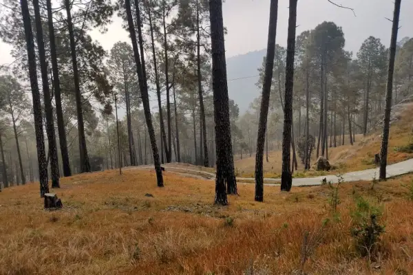 3 Naali Agricultural Land in Berinag, Pithoragarh – Property Image