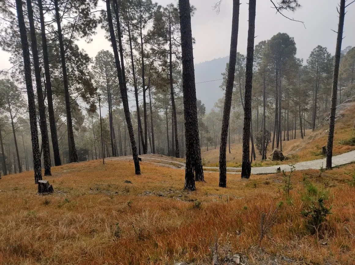 Land 3 naali – Property Image