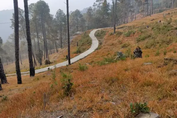 3 Naali Agricultural Land in Berinag, Pithoragarh – Property Image